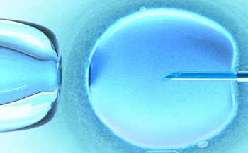 做试管婴儿过程中哪些因素会影响胚胎移植时间选择？