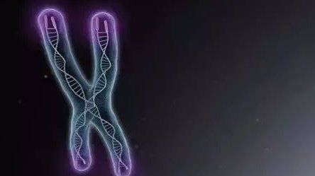 在济南试管婴儿一次多少钱内附费用明细？